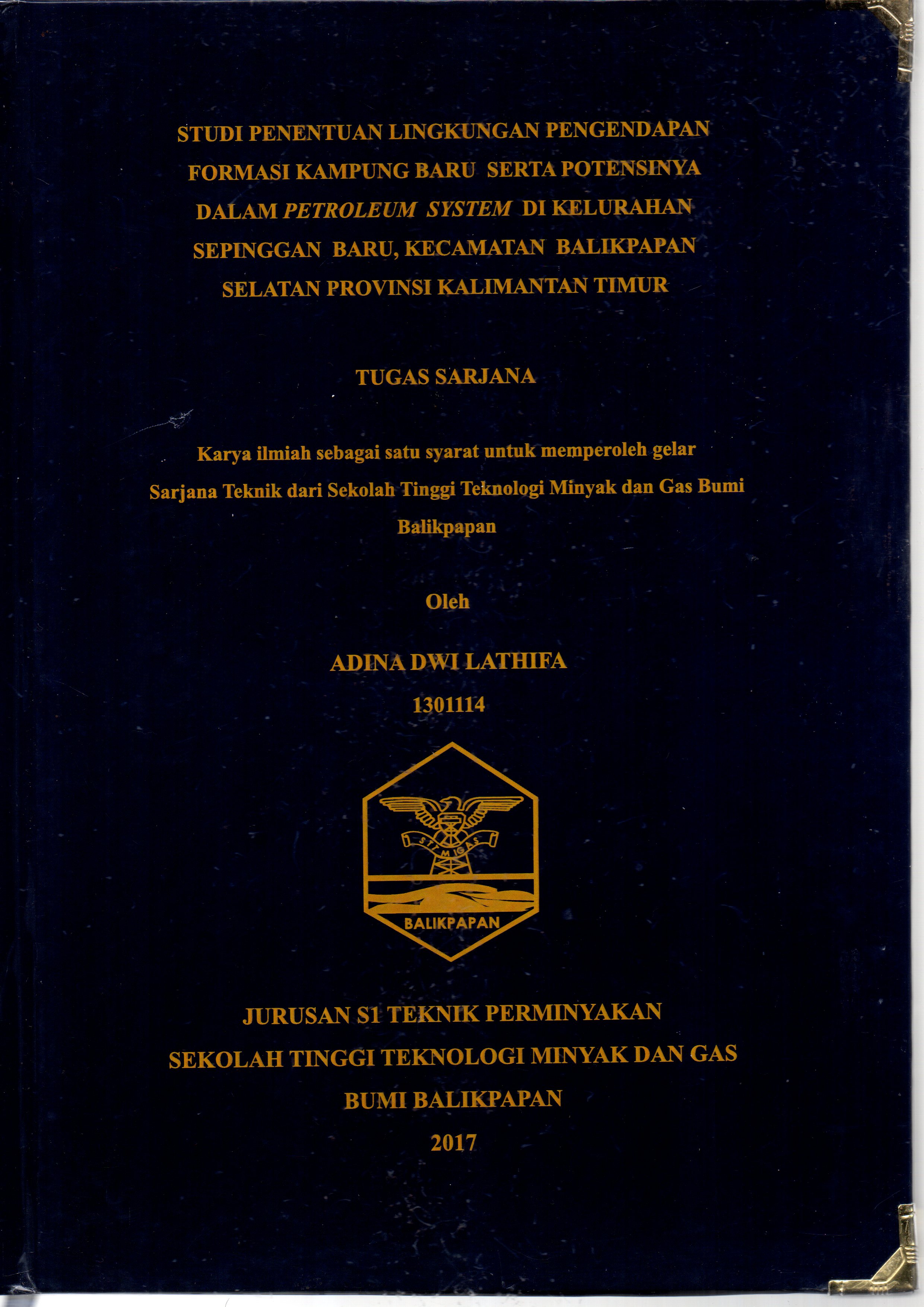 STUDI PENENTUAN LINGKUNGAN PENGENDAPAN FORMASI KAMPUNG BARU SERTA POTENSINYA DALAM PETROLEUM SYSTEM DI KELURAHAN SEPINGGAN BARU, KECAMATAN BALIKPAPAN SELATAN PROVINSI KALIMANTAN TIMUR